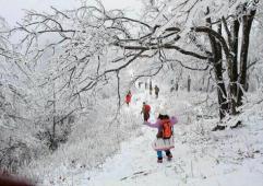 冬天到天目山觀看不一樣的冰雪景觀