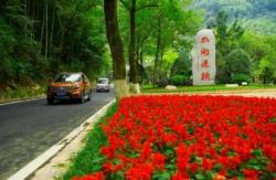 臨安醉美鄉村之白沙村