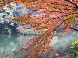 秋色醉人的浙江：探秘歷史名所與賞絢麗楓葉