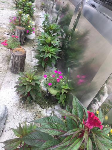 種花