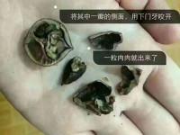 剝山核桃的方法