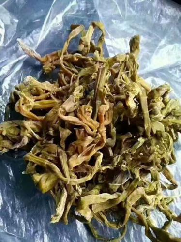 石筍干