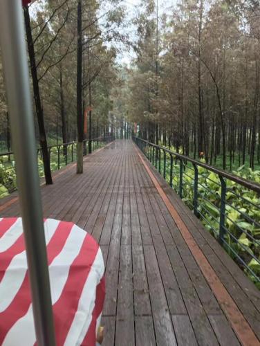 木棧道