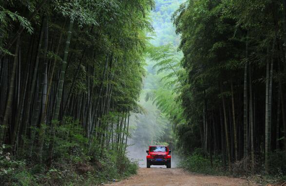 竹林車道