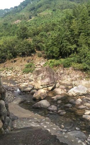 隨處可戲水