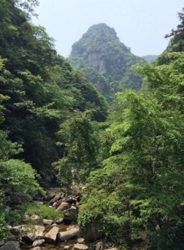 夾雜著清新的氣味
