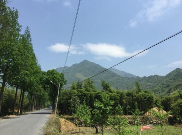 藍天白云綠樹