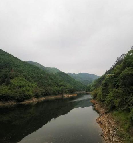 青山綠水