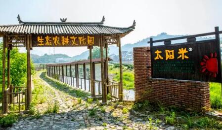 太陽米