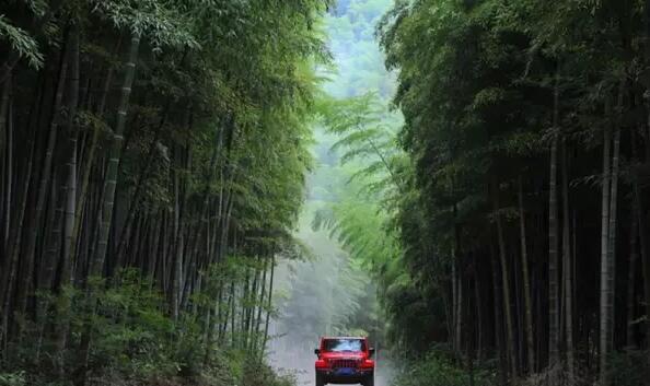 路過小樹林