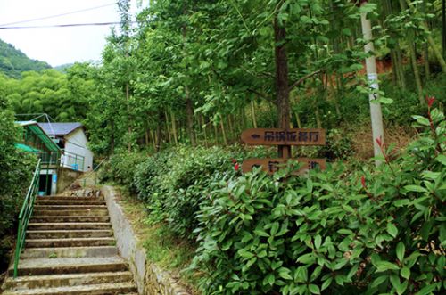 山間小路