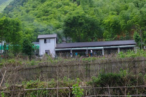 農家全景