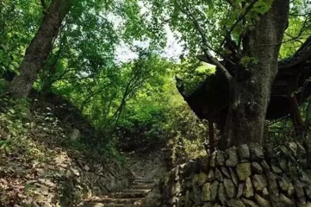 西經古道