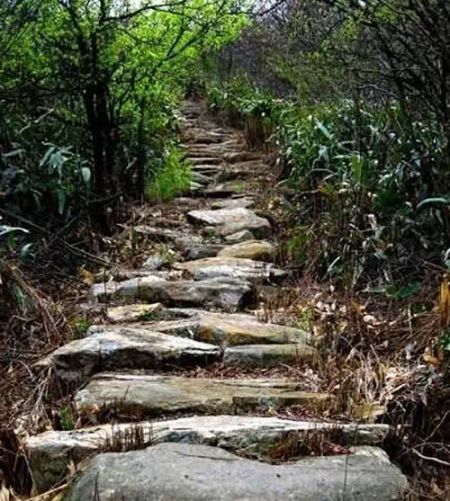 百丈嶺古道