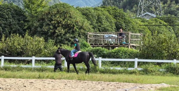 馬術場