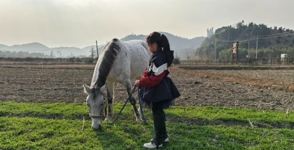 小朋友牽馬